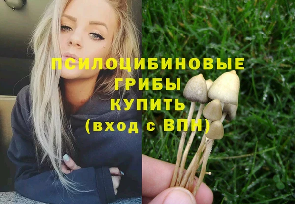 бутират Верхний Тагил